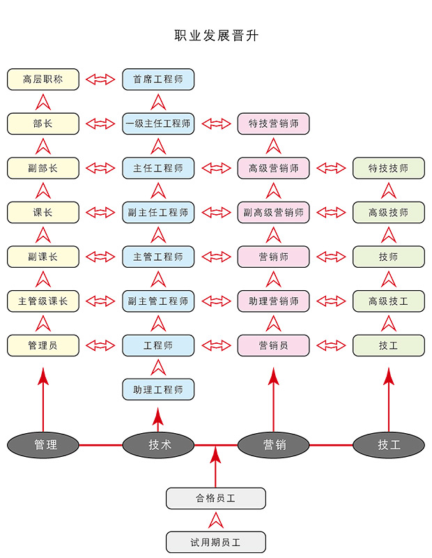 職業(yè)發(fā)展晉升